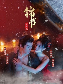 錦書謀權錄