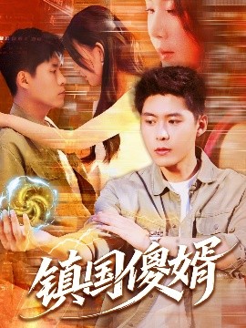 鎮(zhèn)國傻婿